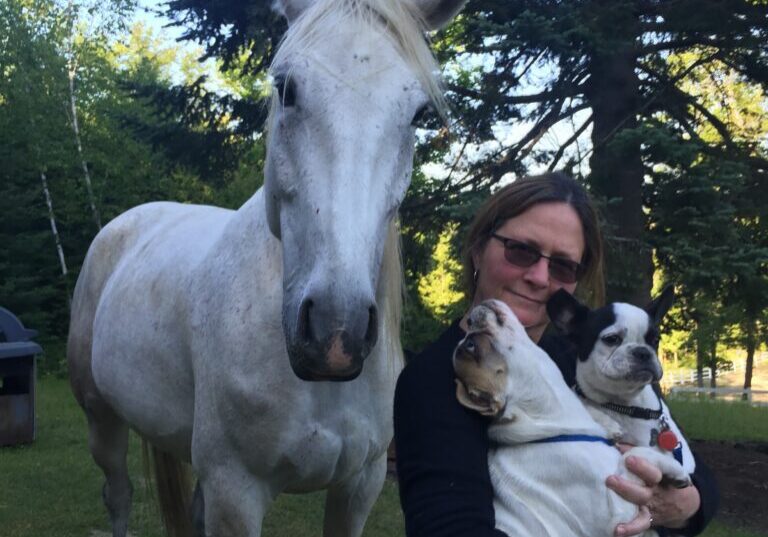 Woman holding two small dogs beside white horse
