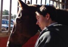 Person gently nuzzling horse in stable